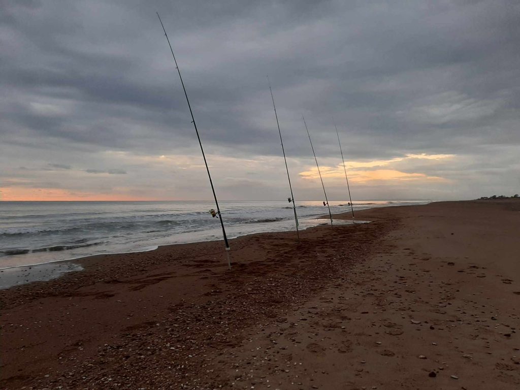 404728956_1044688169958400_6755147429148921198_n ‣ Expert Fishing beach ledgering