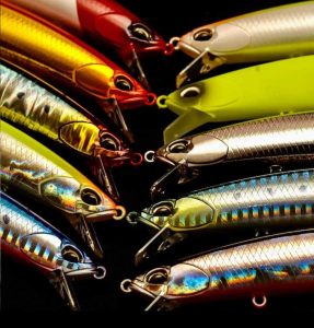 417199348_3585416641722025_1505563079830989495_n ‣ Expert Fishing τεχνητών δολωμάτων