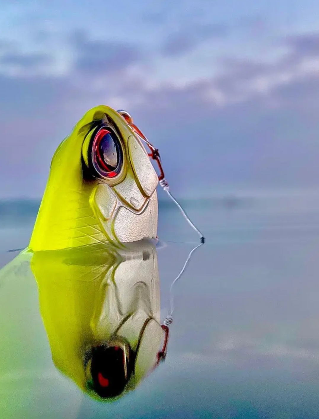 IMG_20240116_114437 ‣ Expert Fishing IMG_20240116_114437