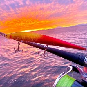 IMG_20240116_114651 ‣ Expert Fishing τεχνητών δολωμάτων
