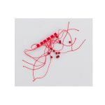 ΣΧΟΙΝΑΚΙ-STOPPER-B340-1000x1000