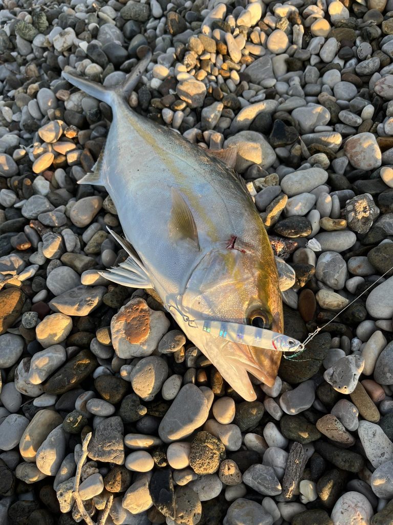 337901258_964238064755296_1598196785087997295_n ‣ Expert Fishing Ο μύθος γύρω από το μηχανισμό