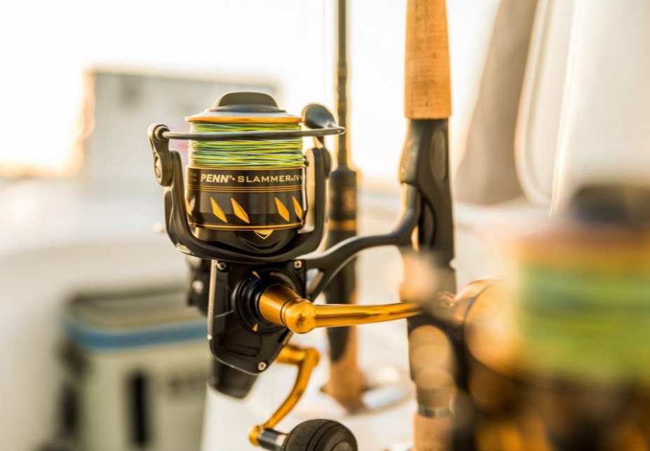 421234513_25529106333346920_5507957533106988574_n ‣ Expert Fishing Ο μύθος γύρω από το μηχανισμό