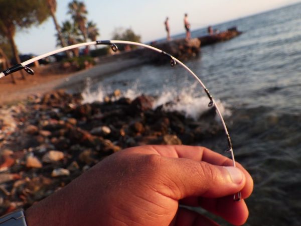 66478871_2438216616265515_5550967594804051968_n-600x450 ‣ Expert Fishing 66478871_2438216616265515_5550967594804051968_n-600x450