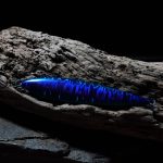 planoi-maxel-bumblebee-jig-series (4)