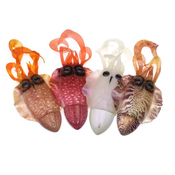 soupia-silikonis-akami-sepiaded