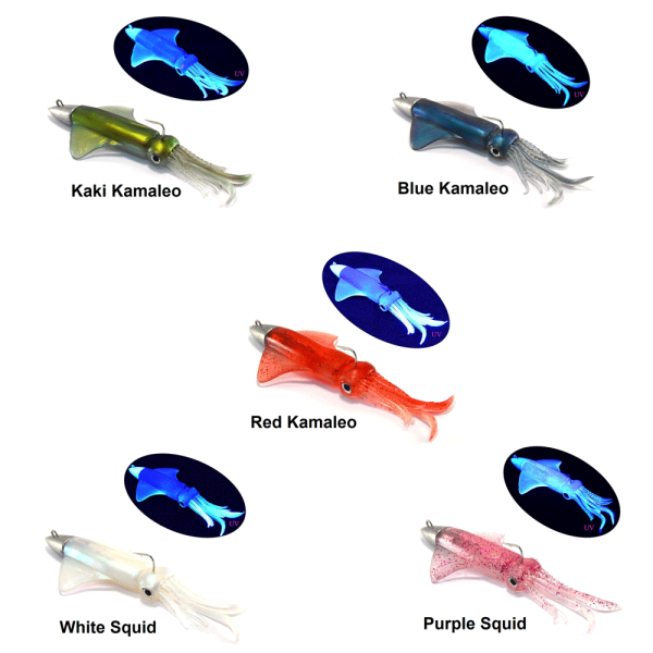 2352413447-1000x1000