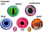 jumbo1-copy-4-1024x777-1