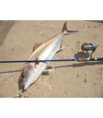 kalami-xzoga-mastery (10)