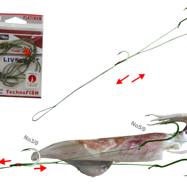 ΛΙΩΕ-ΒΑΙΤ-1024x761