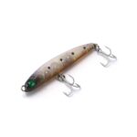 BROW-SARDINE
