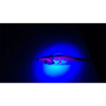 DTD-X-FISH-UV