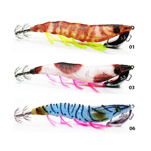 EGIDO-CAMBERINO-COLORS