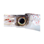 HUNTHOUSE-SILICONE-CUTTLEFISH-2