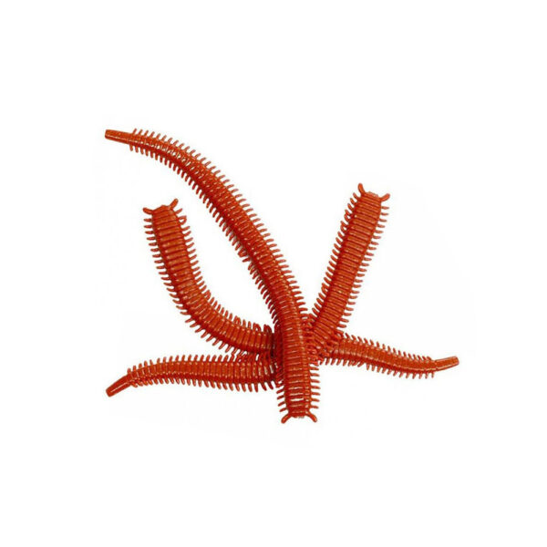 MARUKYU-POWER-ISOME-FIRST