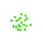 OCEANIC-TEAM-CROSS-BEADS-GLOW