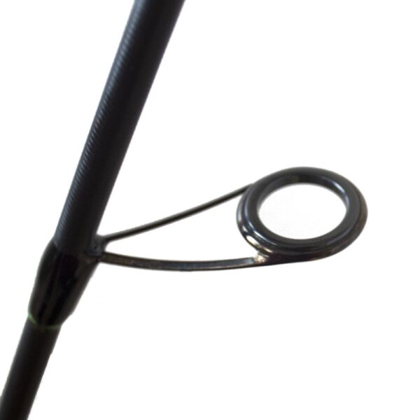 OCEANIC-TEAM-EGI-FEVER-3