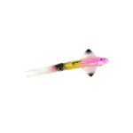 SOUL-LURES-ARROW-SQUID-02