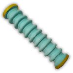 STROGGYLA-HEAVY-LEPTOMEREIA