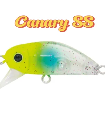 bidik-35-canary-ss