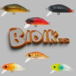 bidik-35-featured