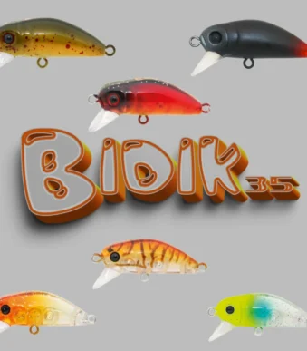 bidik-35-featured