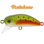 bidik-35-rainbow
